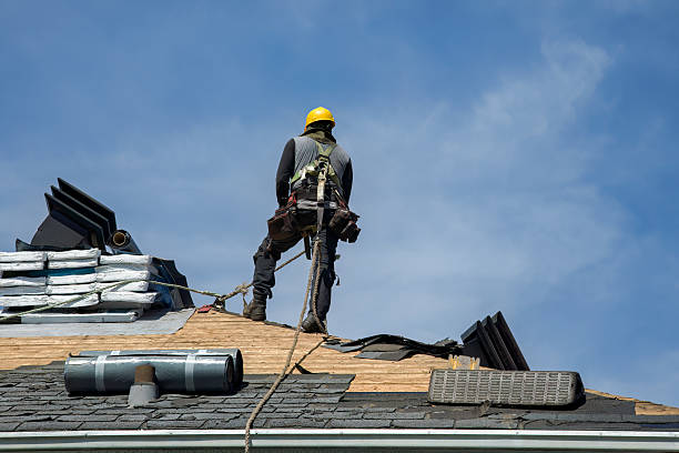 Professional Storm Damage Roof Repair technician working in Riverview, FL